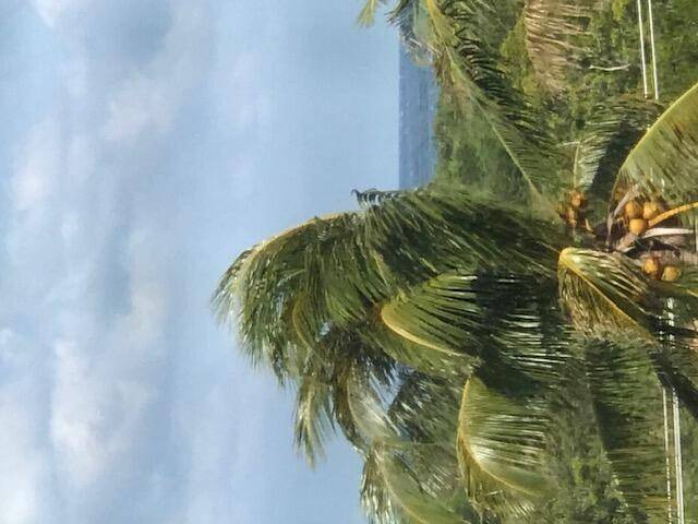 275 PalmJupiter - Condo condo unit C503 - picture