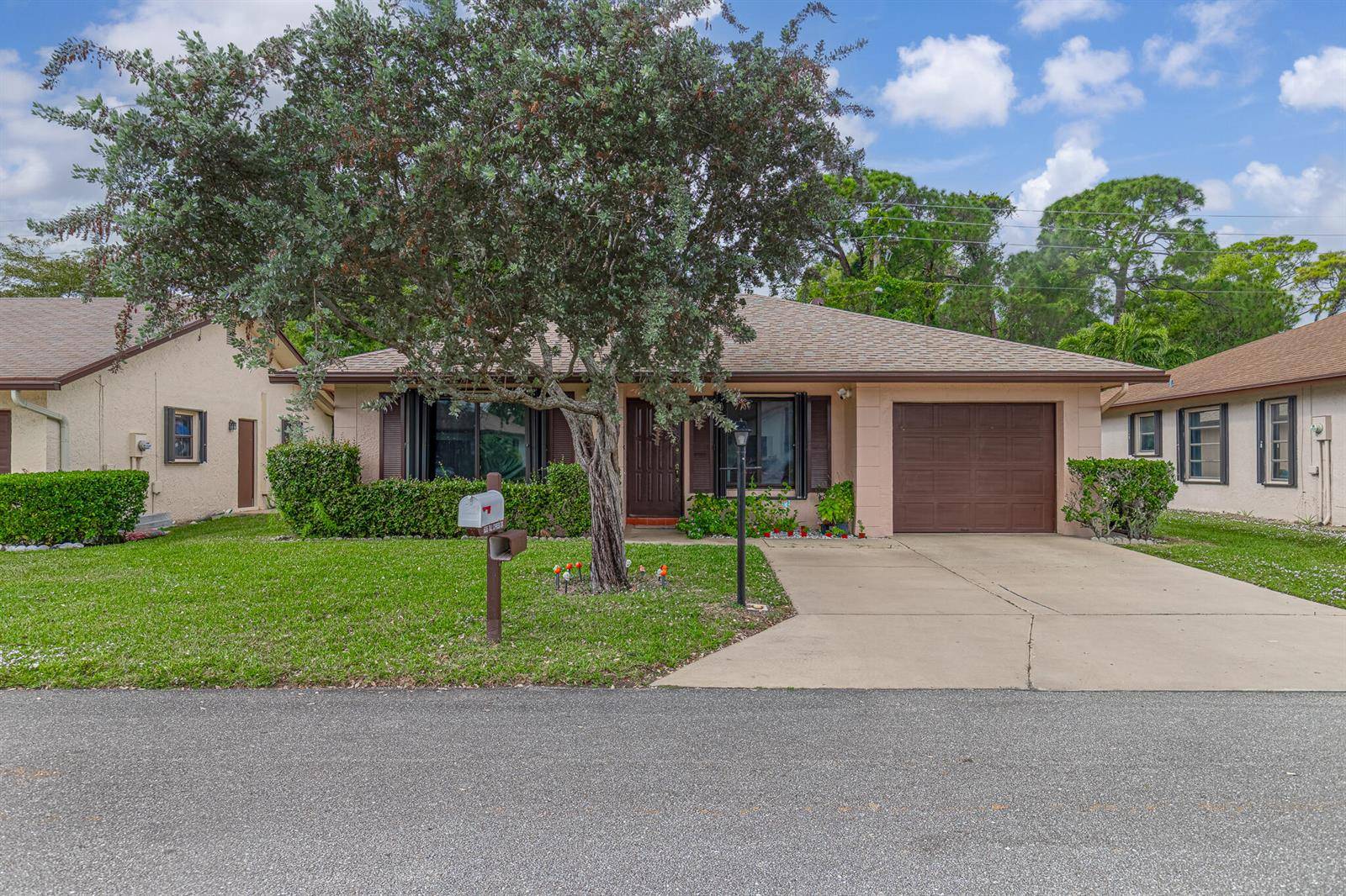 6335 Tall Cypress - picture