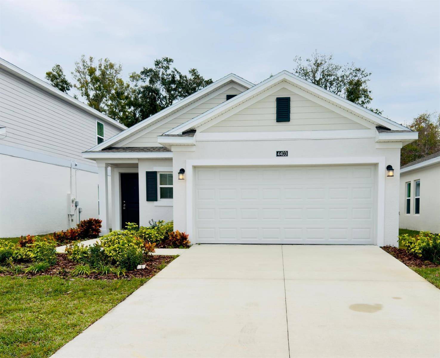 4403 Twisted TwigKissimmee - picture