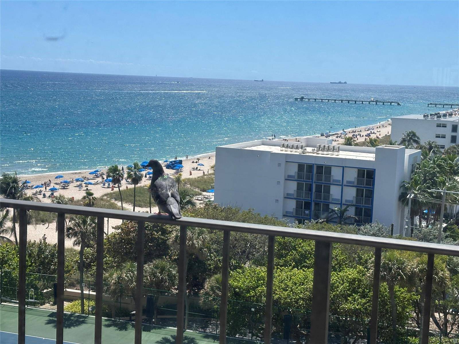 4900 N OceanLauderdale By The Sea - SEA RANCH CLUB CONDO condo unit 1003 - picture