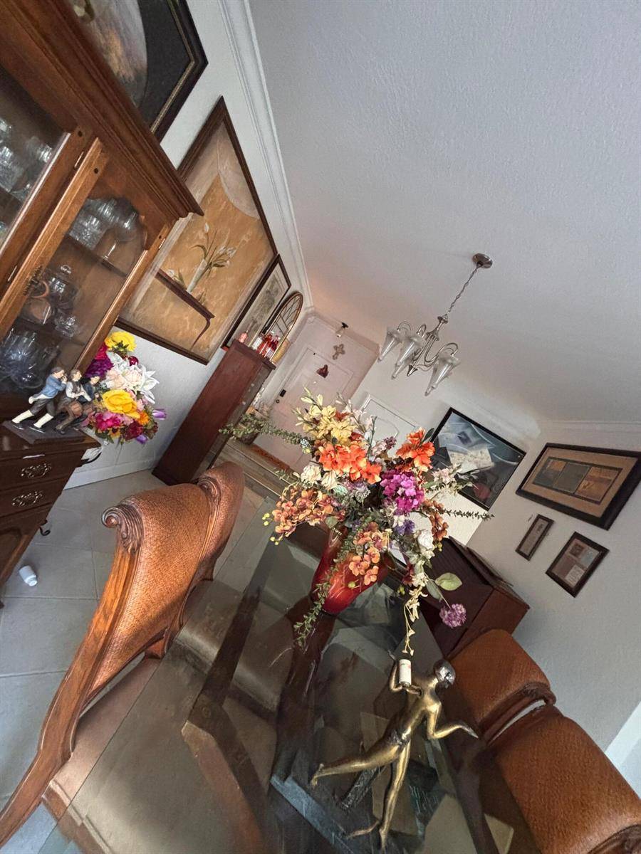 11434 Silk CarnationRoyal Palm Beach - picture