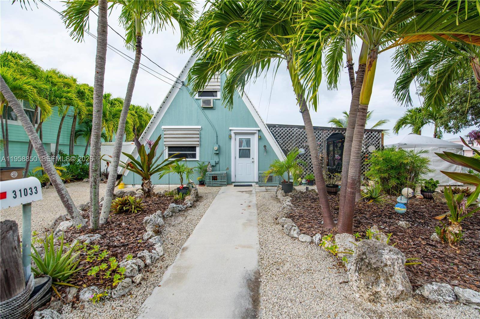 31033 Hibiscus DrBig Pine - picture