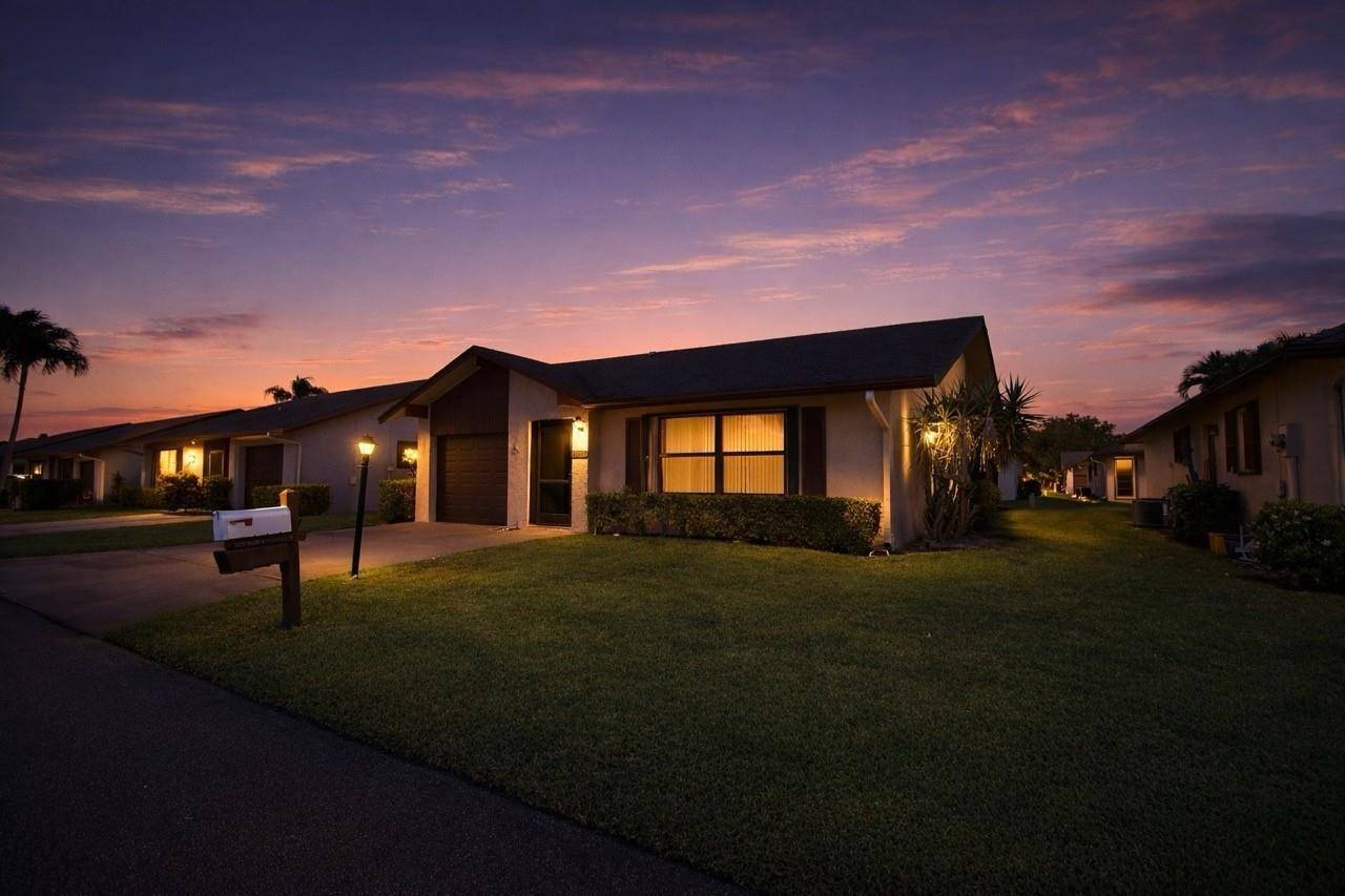 3305 Silver Buttonwood - picture