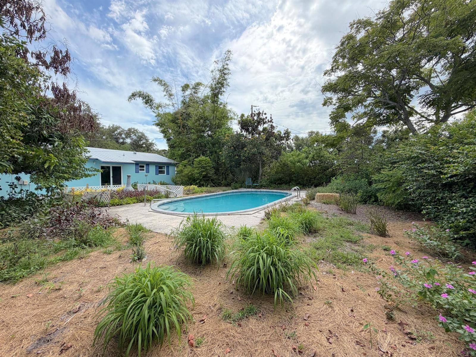45 1stVero Beach - picture