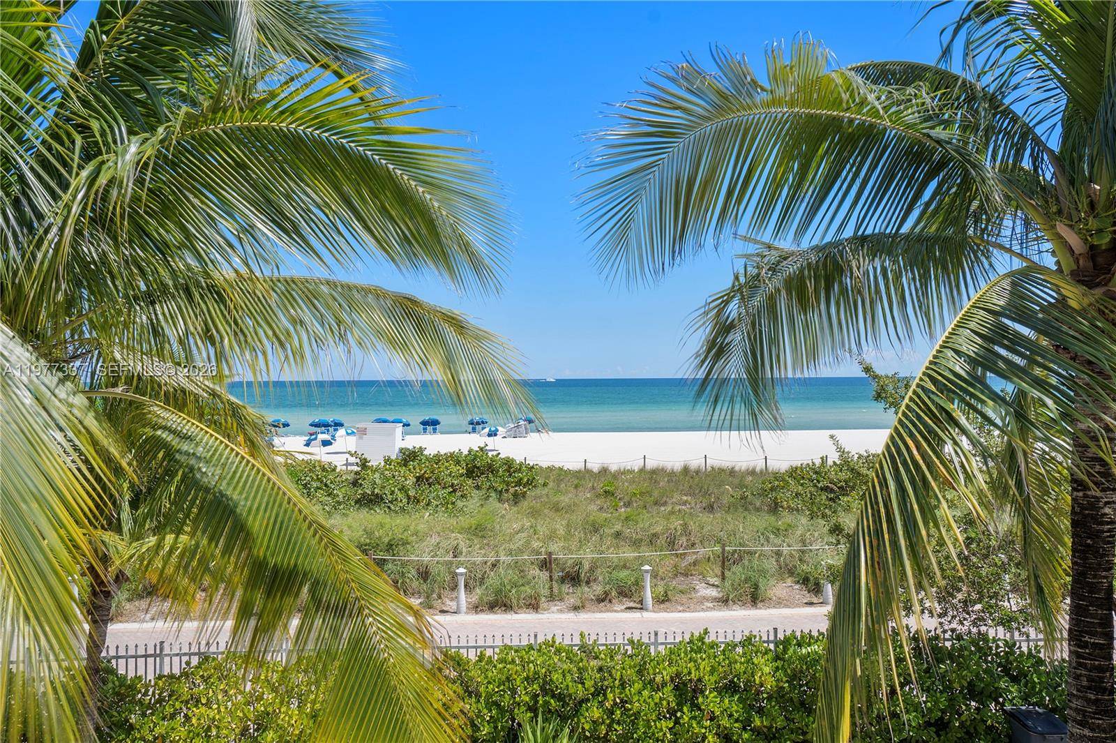 6039 Collins AveMiami Beach - Condo/Co-Op/Annual,Condo condo unit 829 - picture