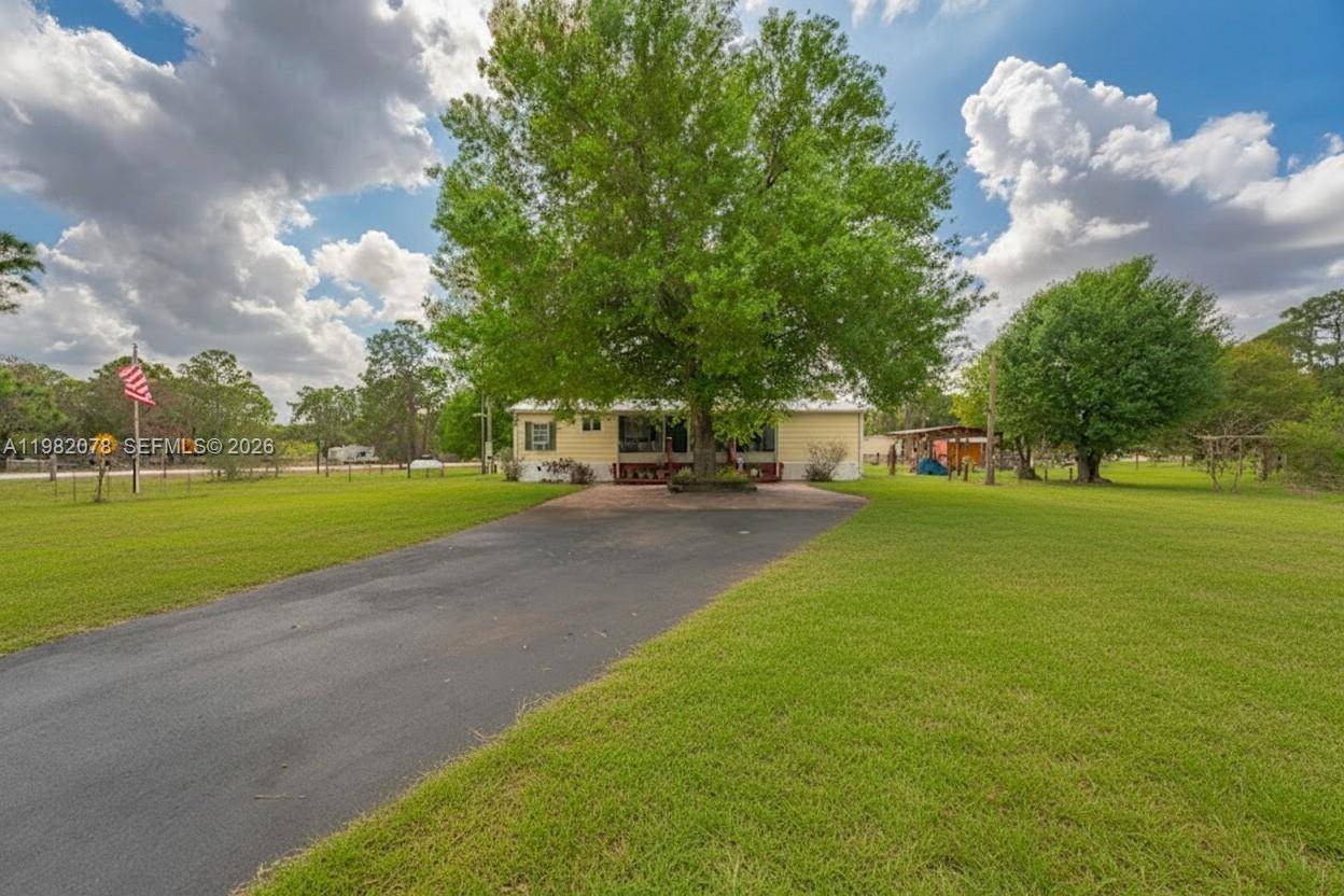 1700 Tampa AveClewiston - picture