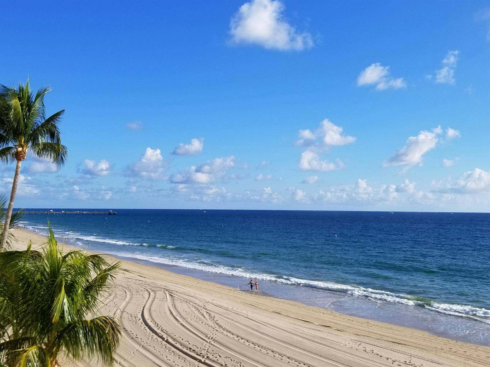 4280 Galt OceanFort Lauderdale - Condo condo unit 8 L - picture