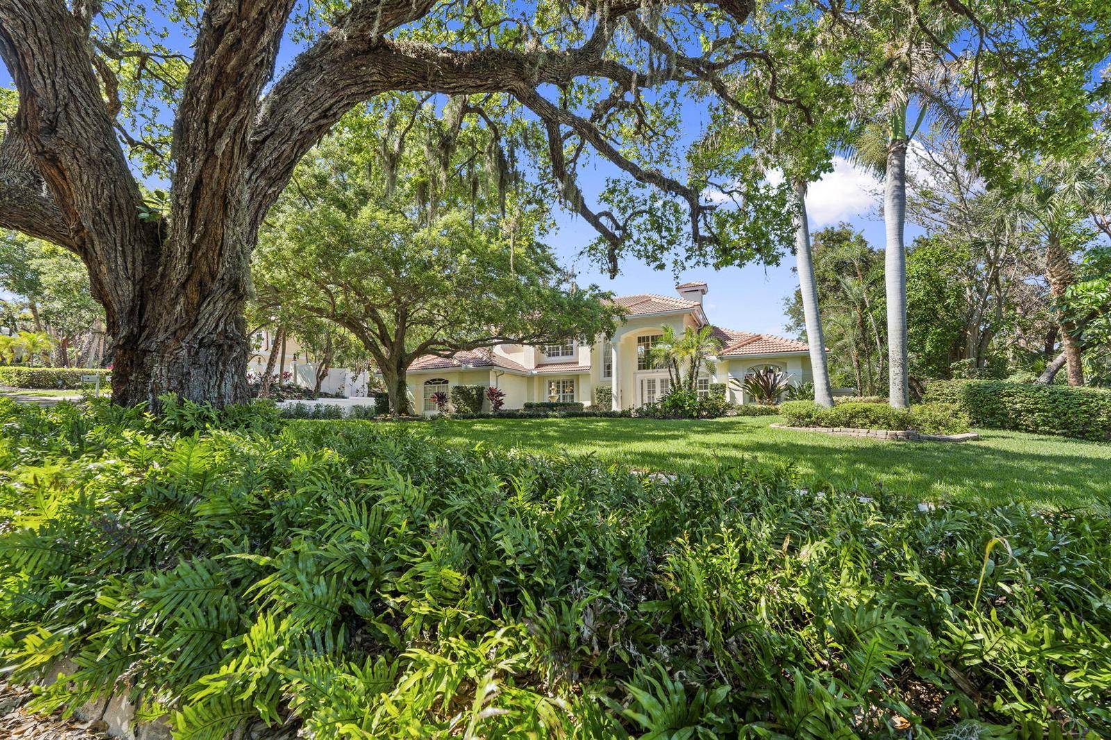 4 Castle HillStuart - picture