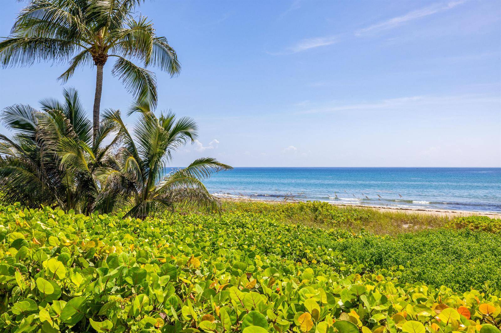 246 NE 14thDelray Beach - picture