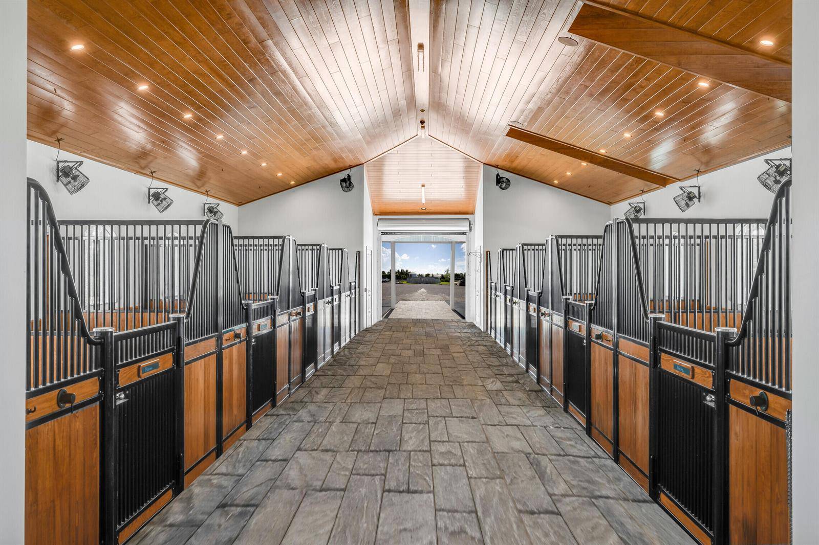 5181 LassoWellington - picture
