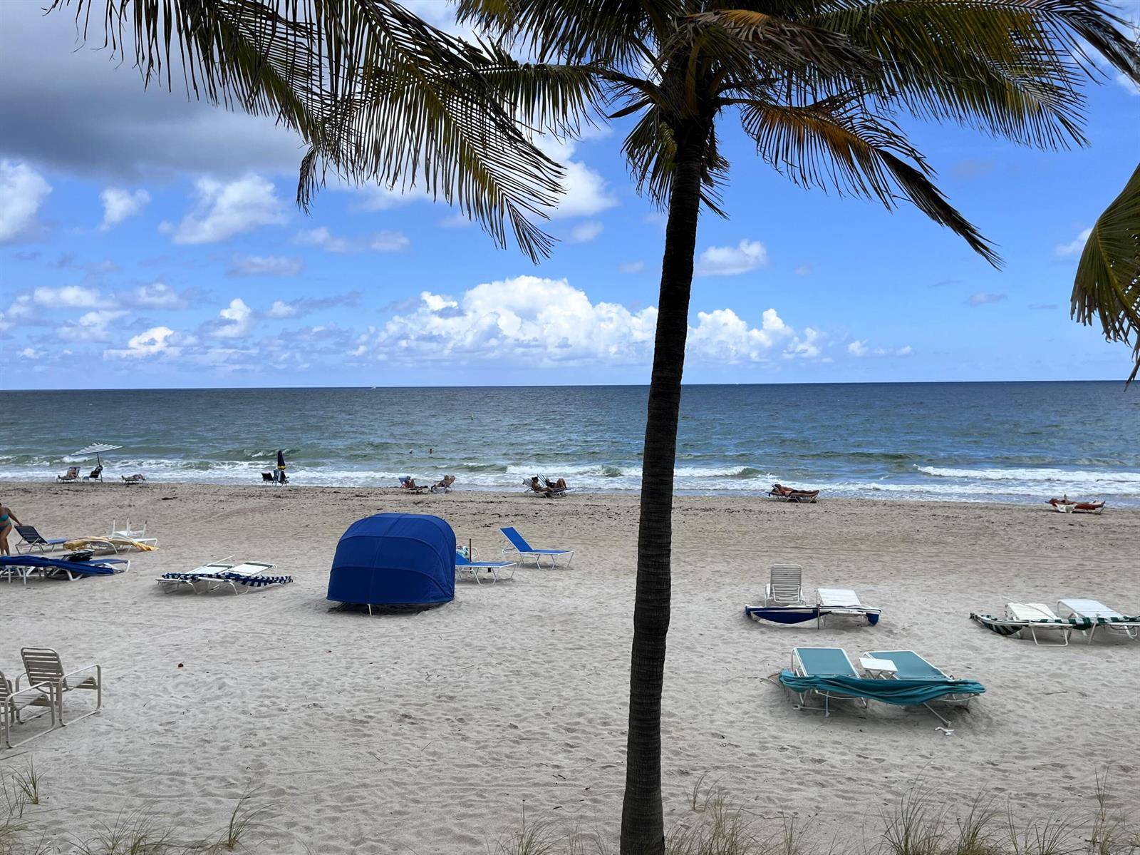 3500 Galt OceanFort Lauderdale - Condo condo unit 208 - picture