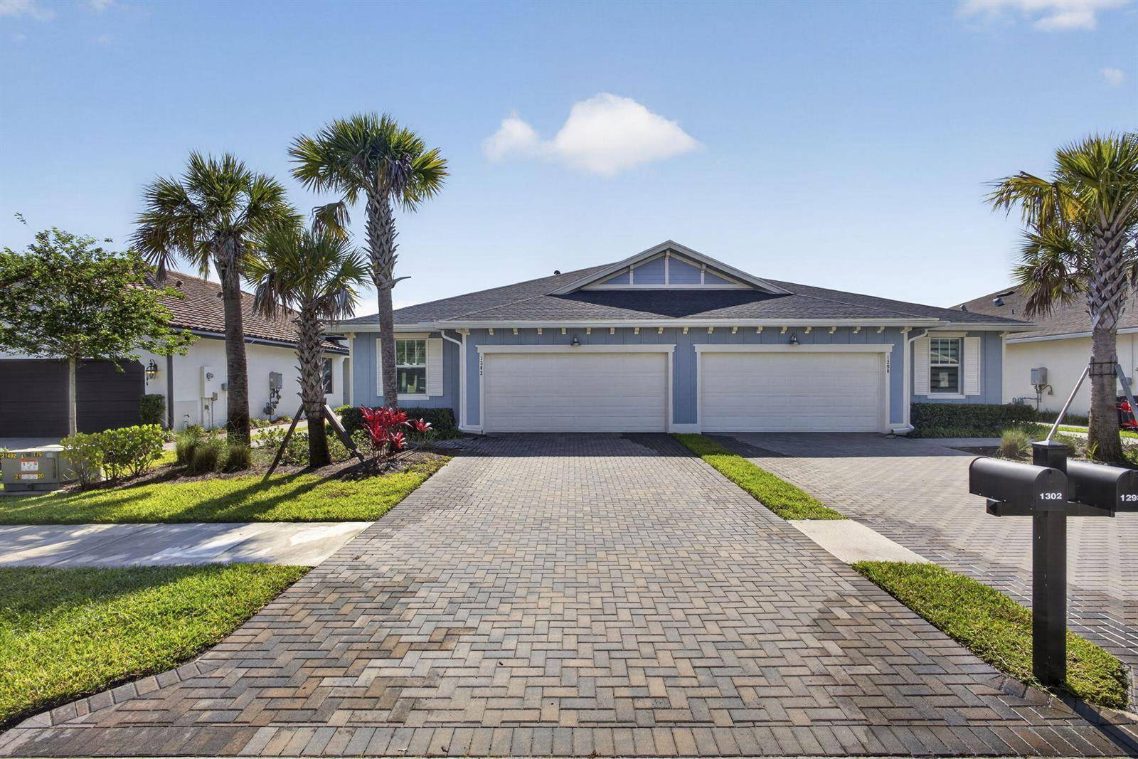 1302 Tangled OrchLoxahatchee - picture