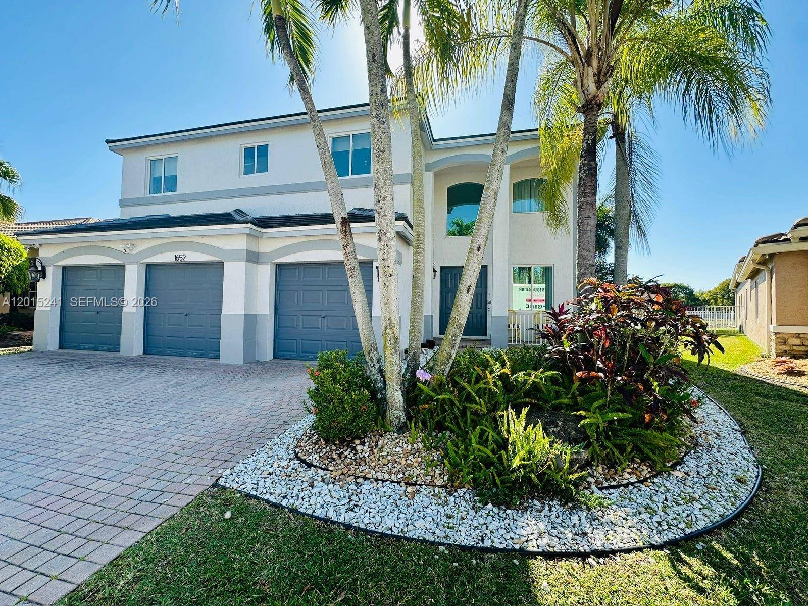 1652 Orchid BndWeston - picture