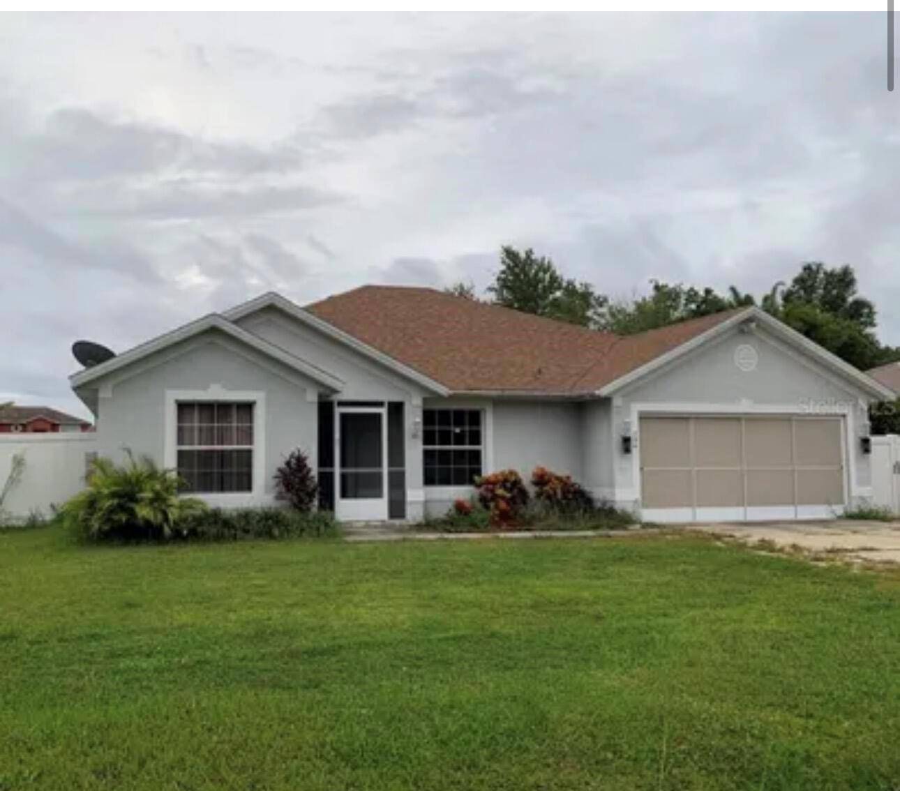 704 CaracaraKissimmee - picture