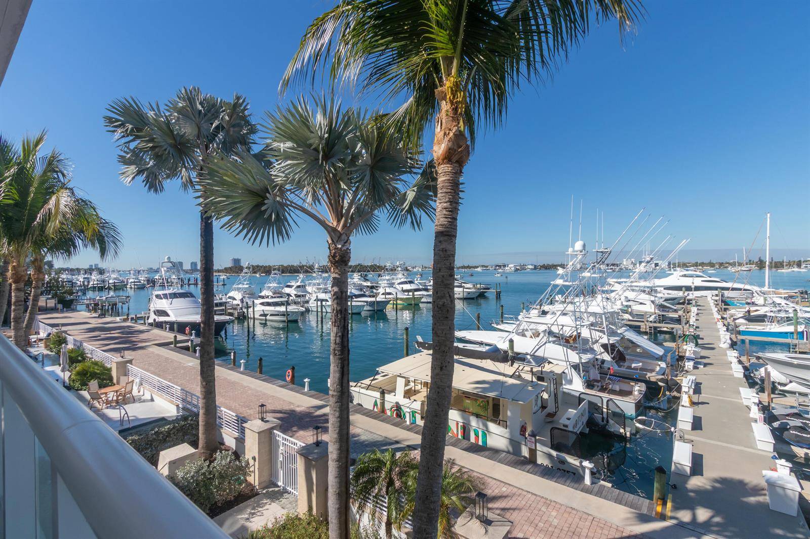 184 LakePalm Beach Shores - HAVN RESIDENCES & YACHT CL,HAVN RESIDENES & YAC condo unit 3102 - picture