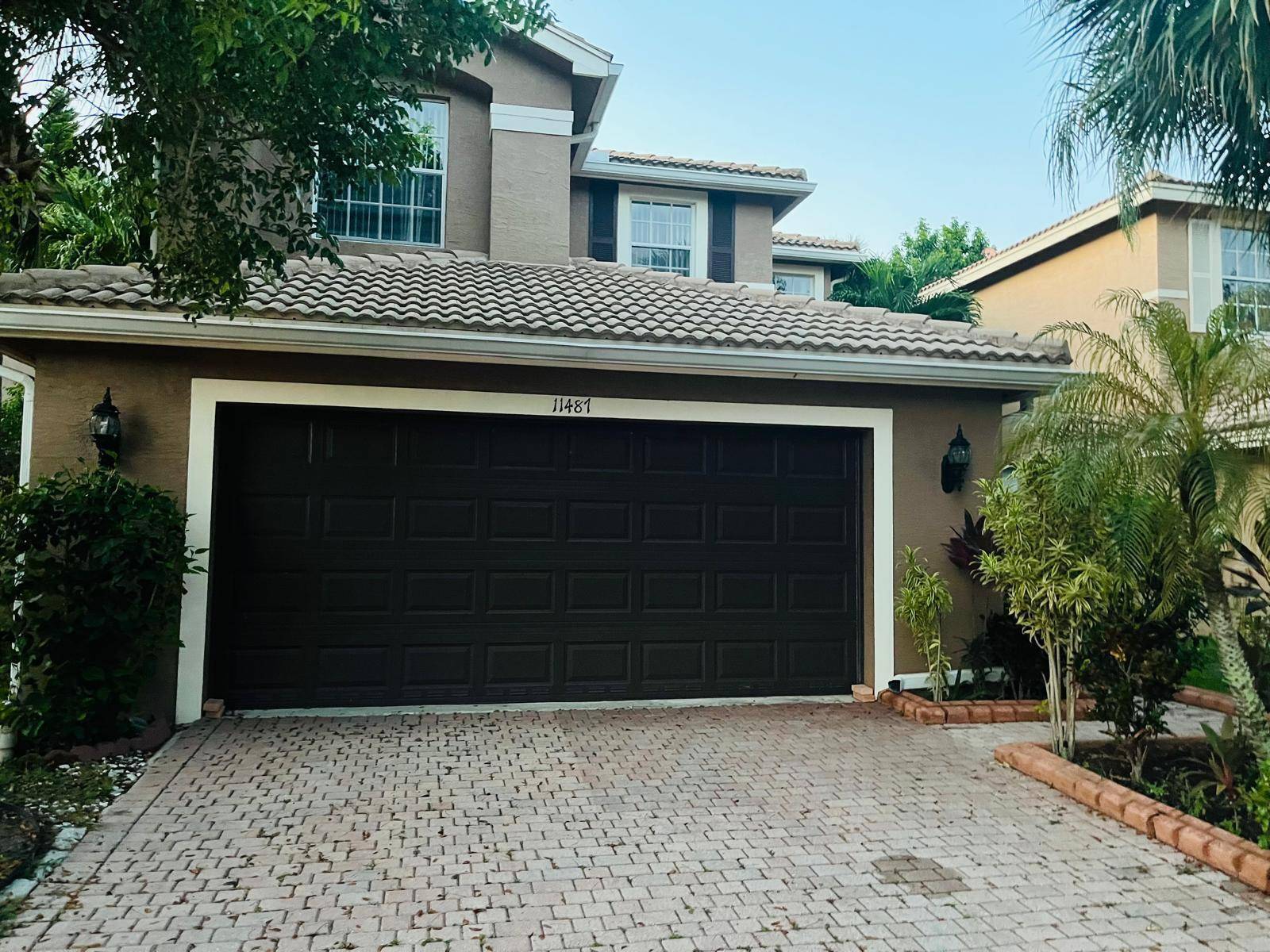 11487 Blue VioletRoyal Palm Beach - picture
