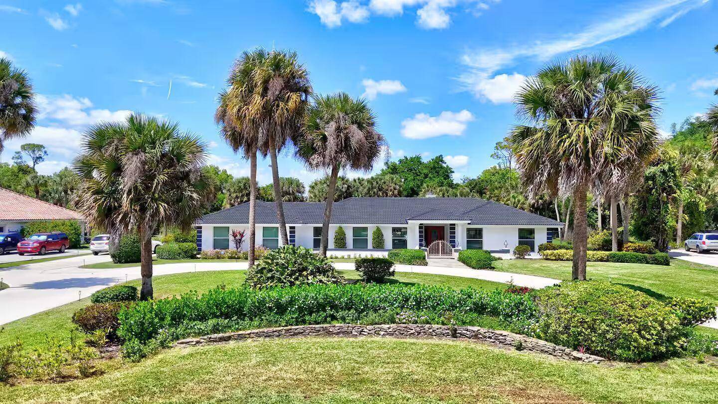 12231 AreacaWellington - picture