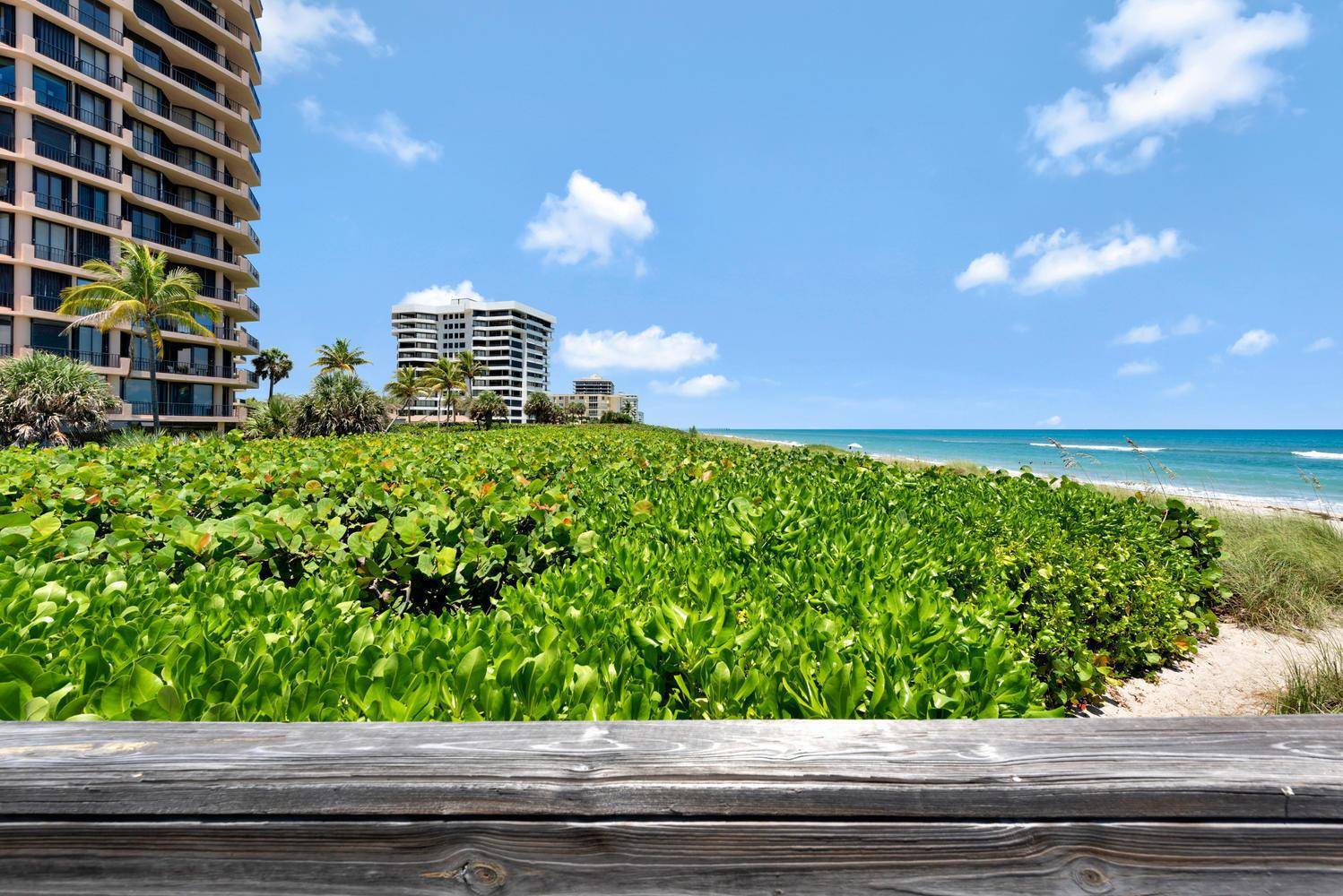530 OceanJuno Beach - Condo condo unit 202 - picture