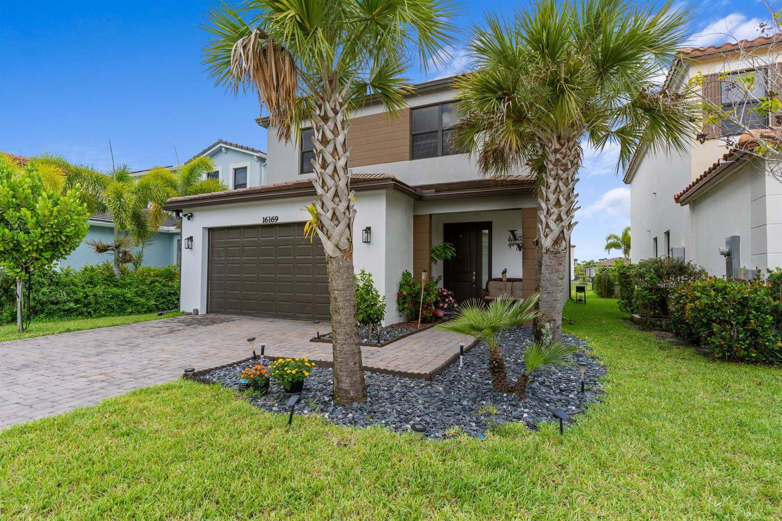 16169 Sea TurtleWestlake - picture