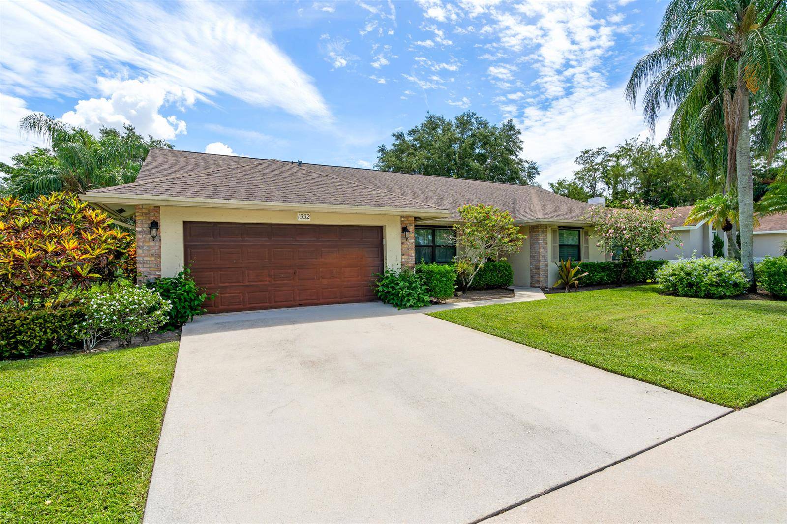 1532 PrimroseWellington - picture