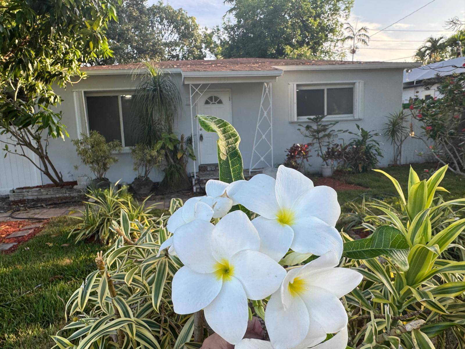 1635 NE 160thNorth Miami Beach - picture