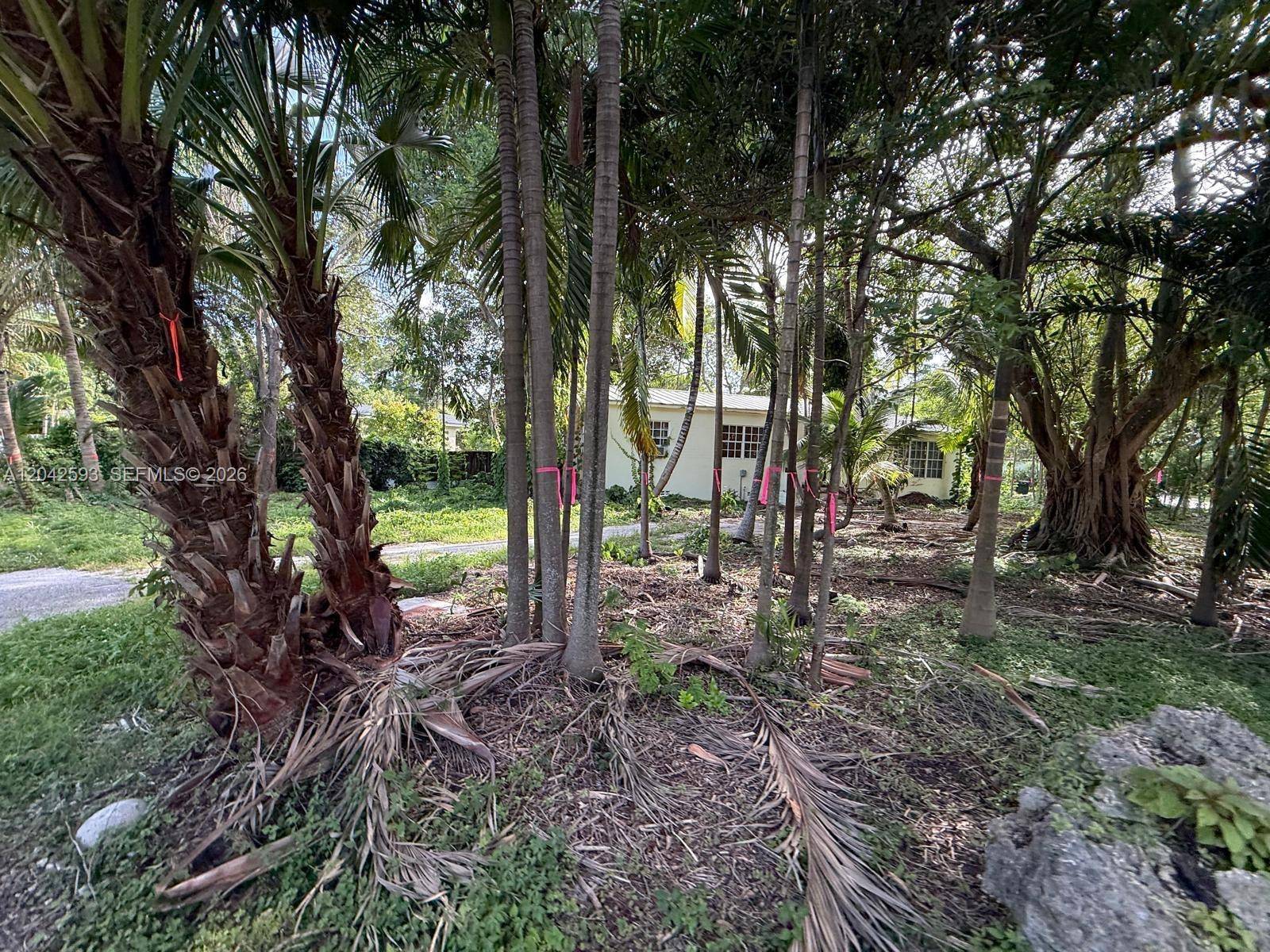 6600 SW 64th CtSouth Miami - picture
