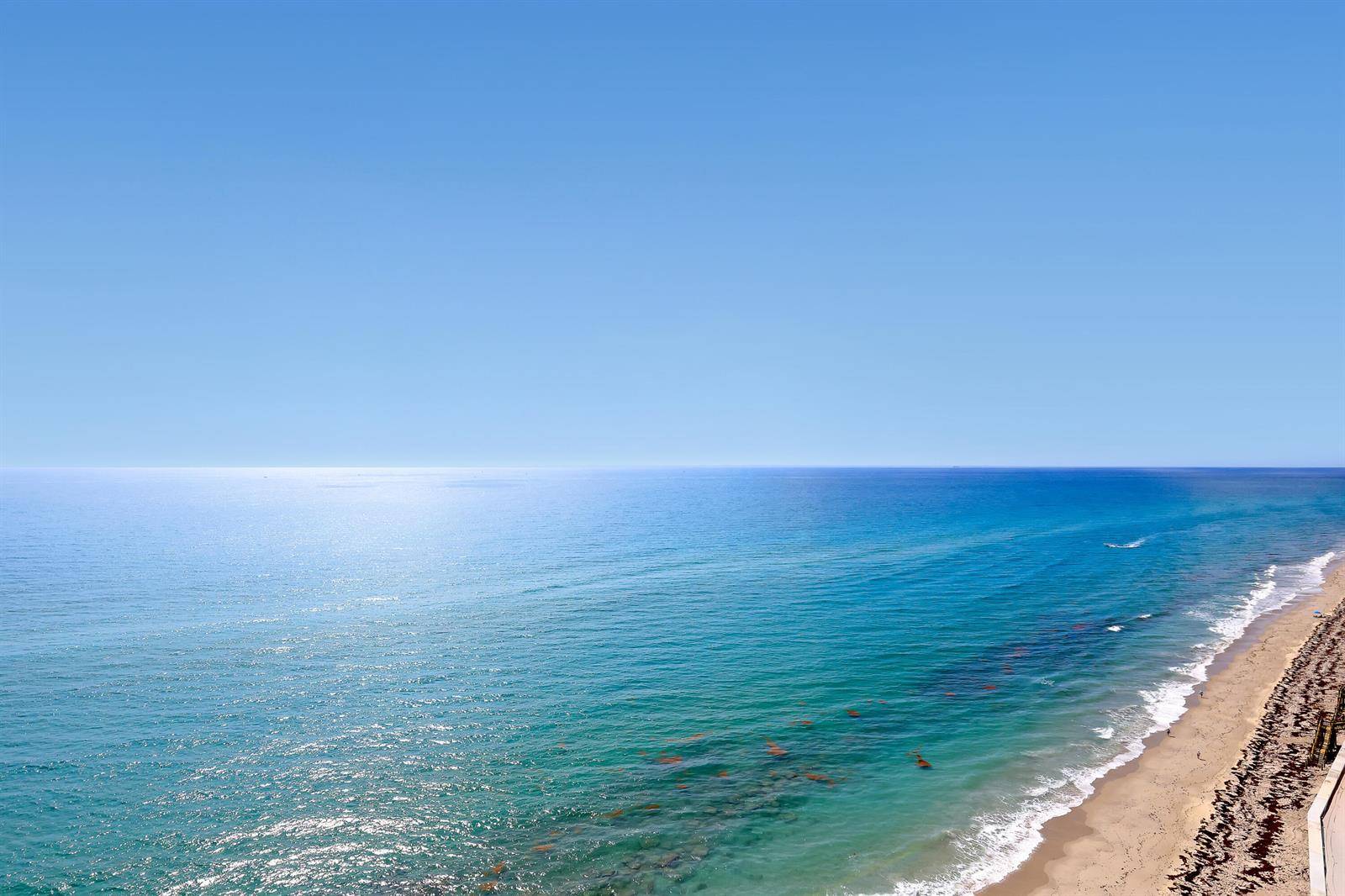 5200 N OceanRiviera Beach - Condo condo unit 1902 - picture