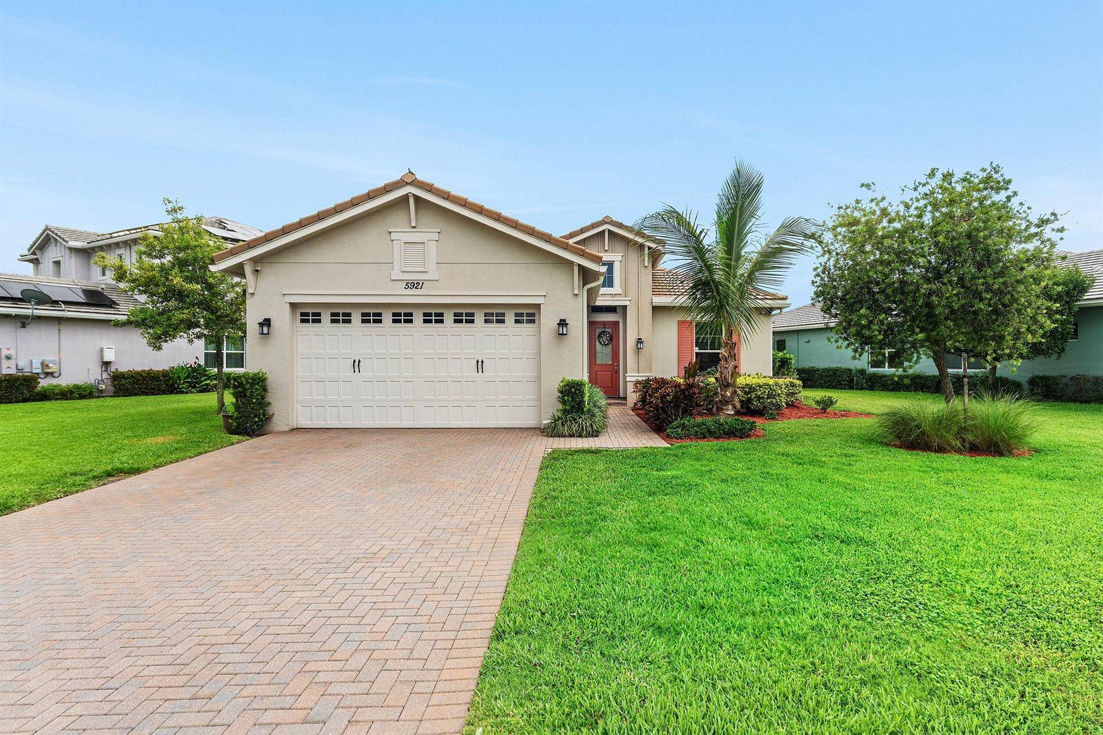 5921 Switchgrass - picture