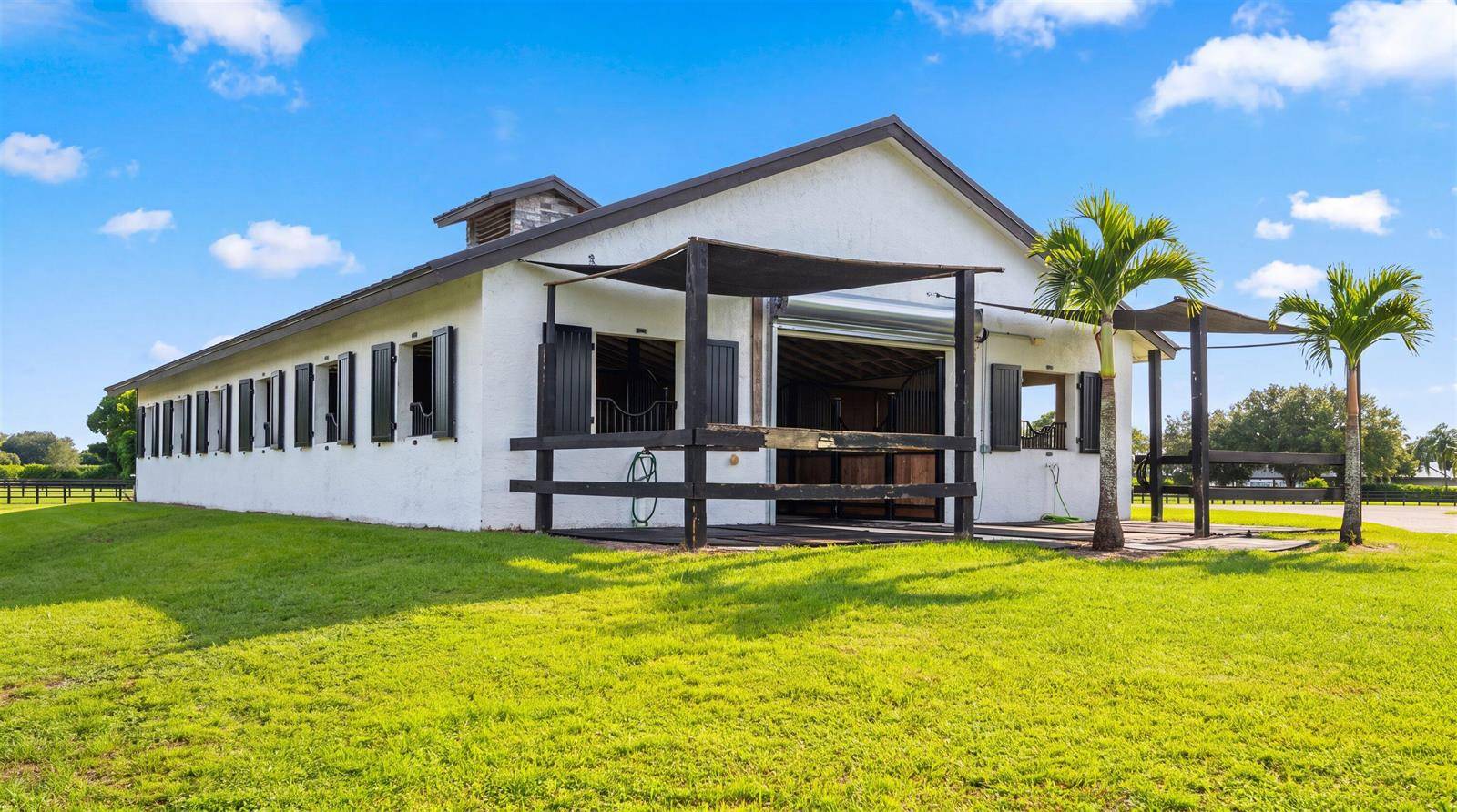 2808 AppaloosaWellington - picture