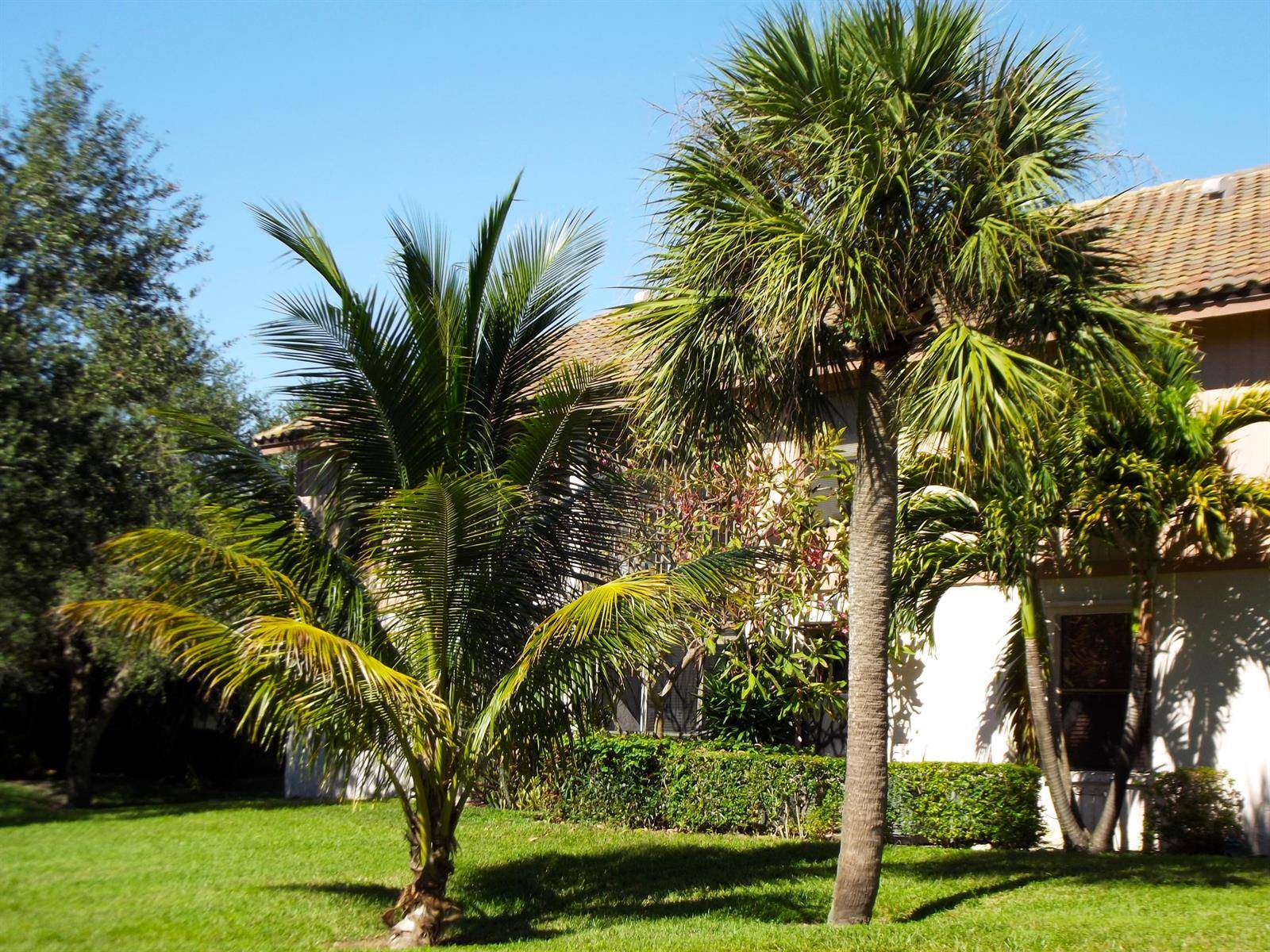 3355 JaywoodBoca Raton - Condo condo unit 2140 - picture