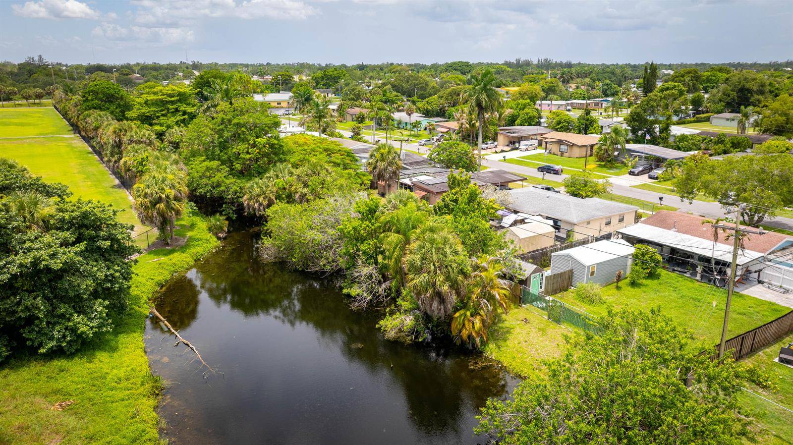 764 CamelliaRoyal Palm Beach - picture