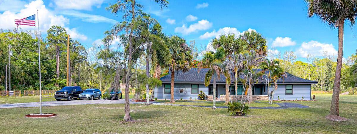1464 ClydesdaleLoxahatchee - picture
