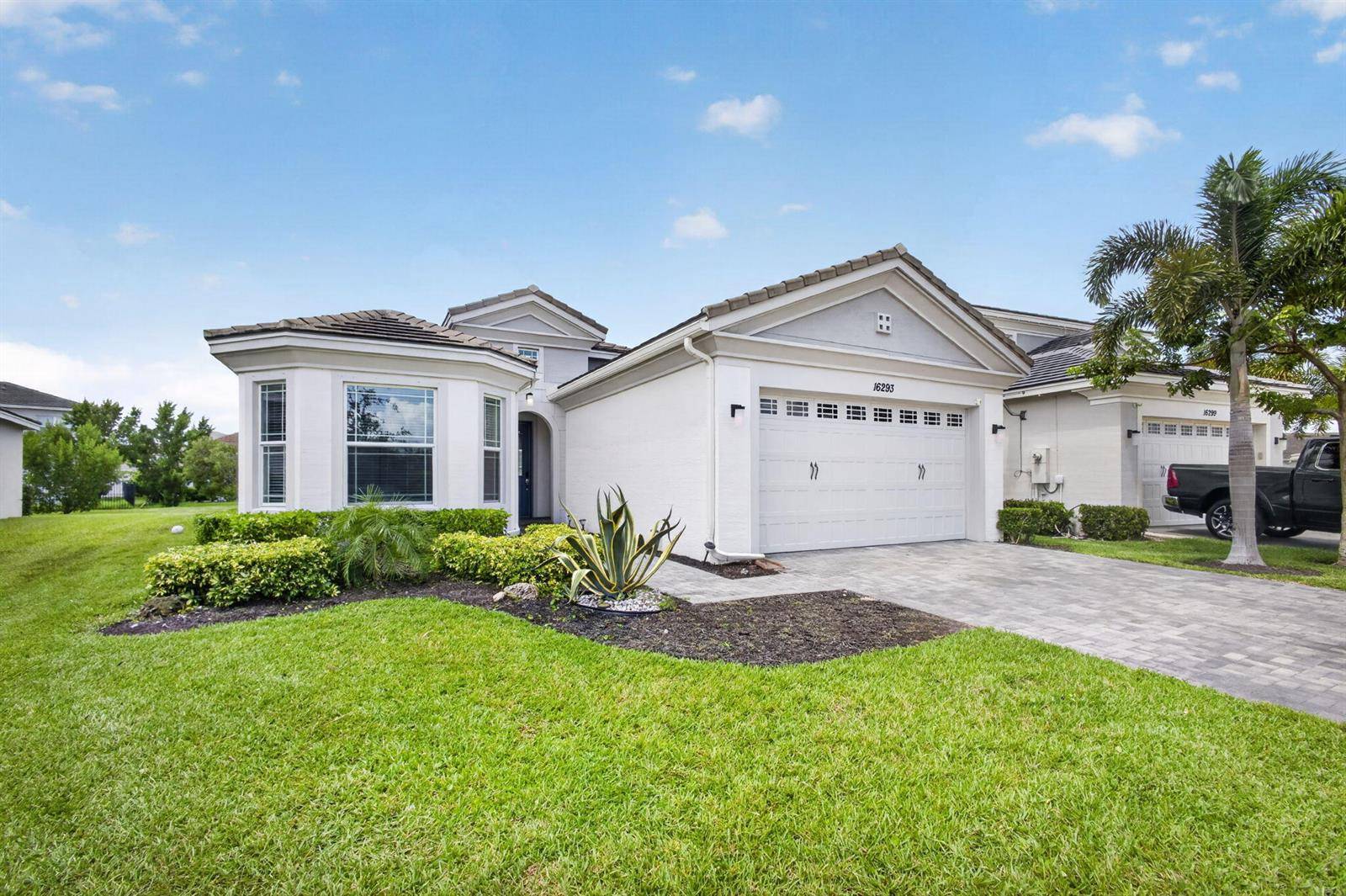 16293 Melogold - picture