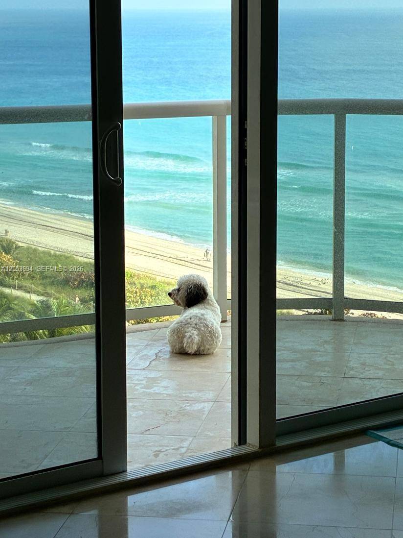 8855 Collins AveSurfside - Ocean 88 condo unit 11B - picture
