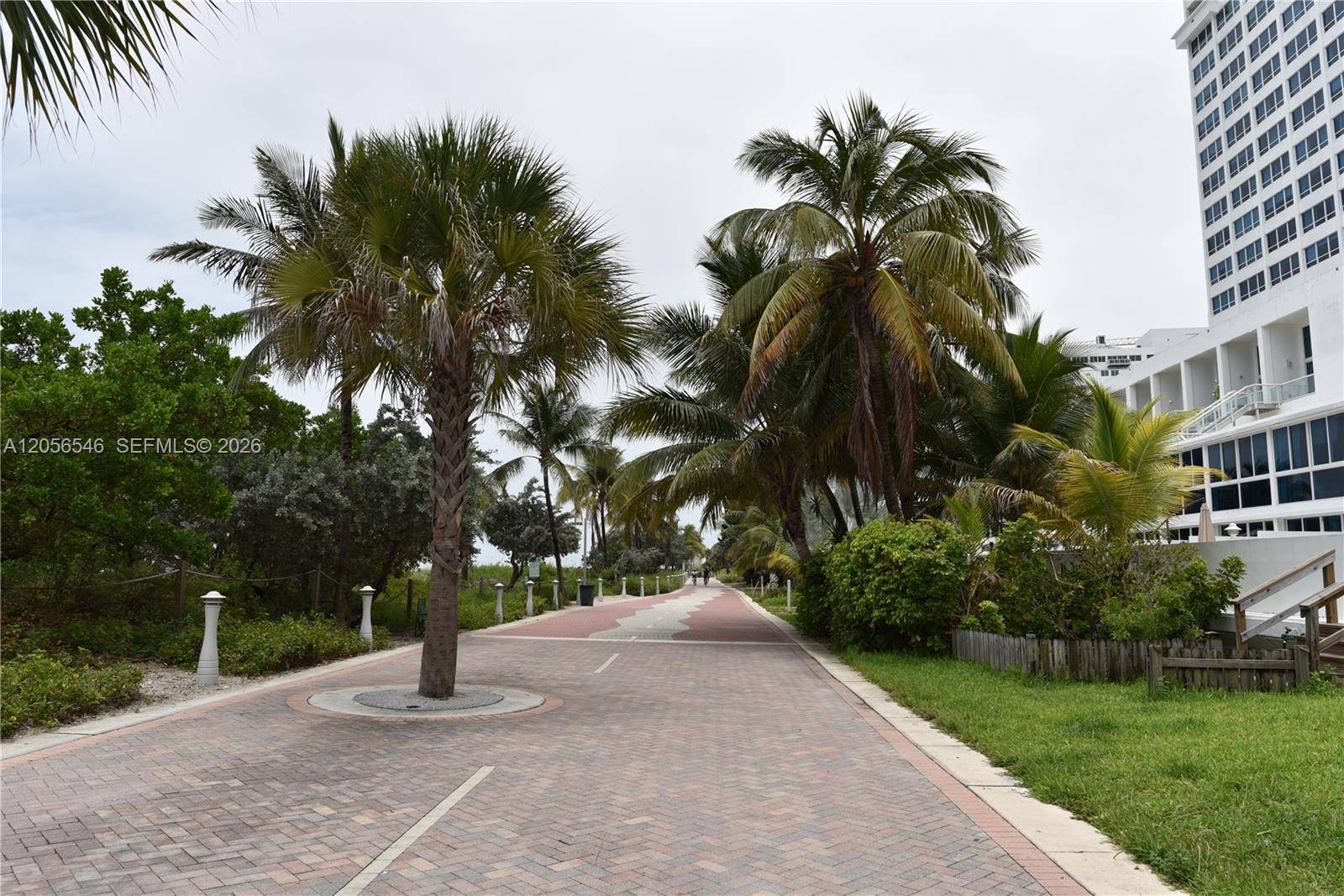 5555 Collins AveMiami Beach - OCEANSIDE PLAZA CONDO,OCEANSIDE PLAZA COND condo unit 8K - picture