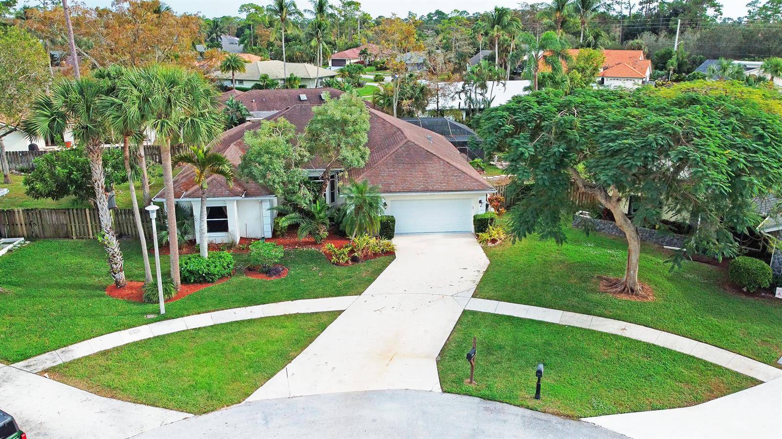 896 ROSEWellington - picture