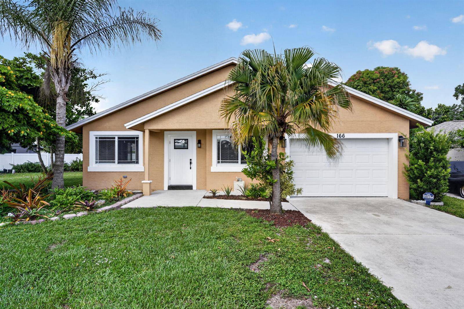 166 RAINTREEJupiter - picture