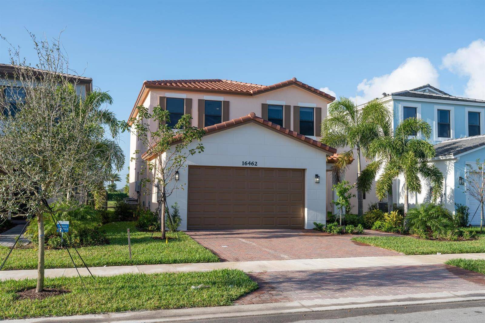 16462 Sea TurtleWestlake - picture