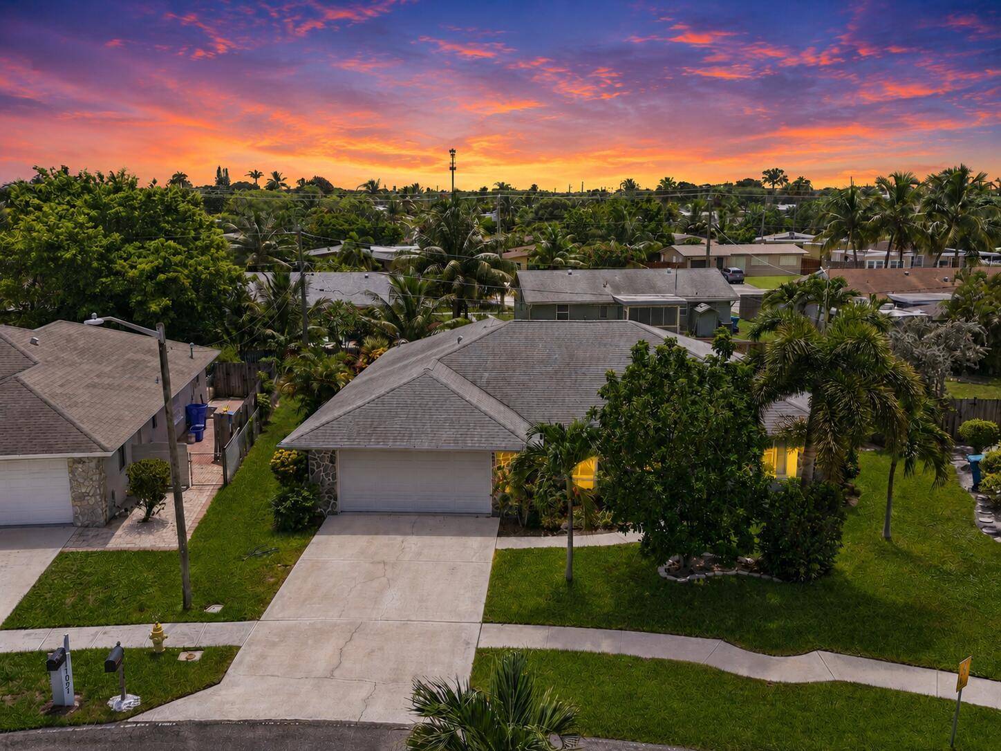1081 PalamaLantana - picture