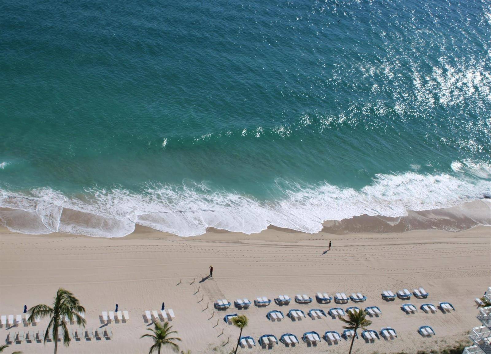 3900 Galt OceanFort Lauderdale - Gate Ocean Drive,Ft. Lauderdale condo unit 1004 - picture