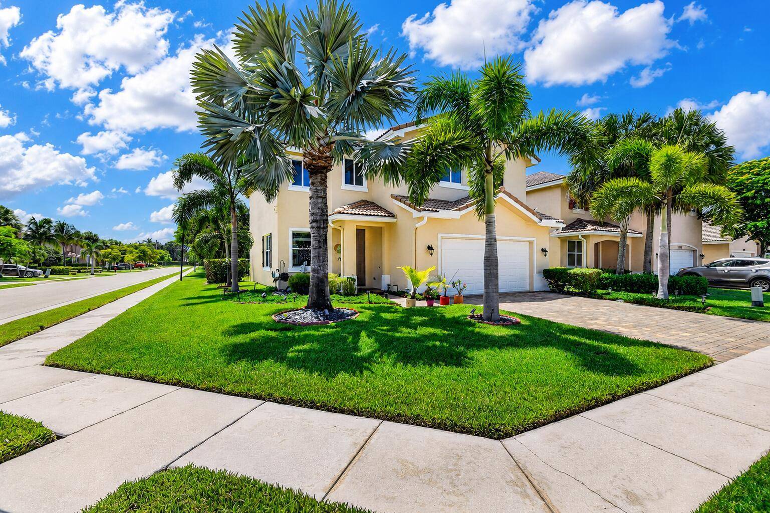 5652 Caranday Palm - picture