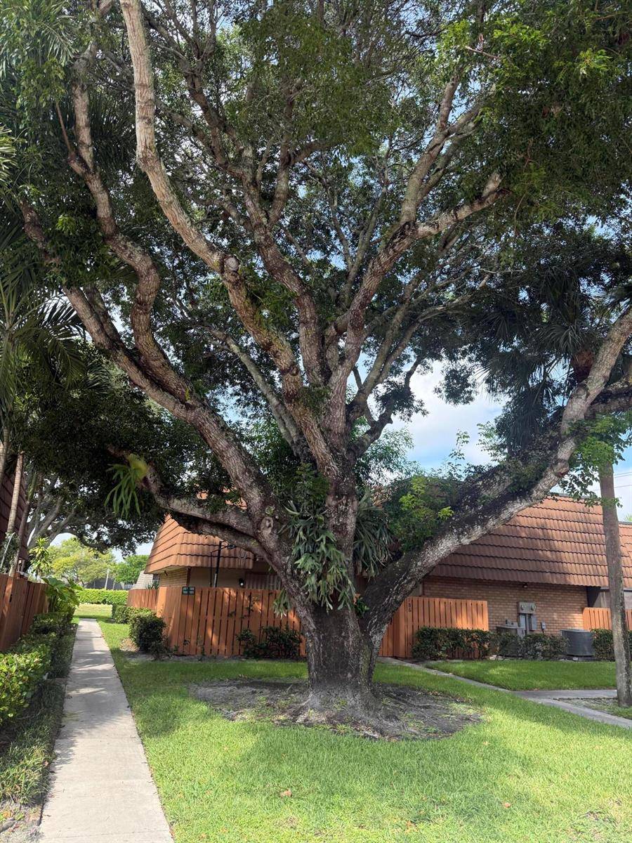 187 CharterWest Palm Beach - picture