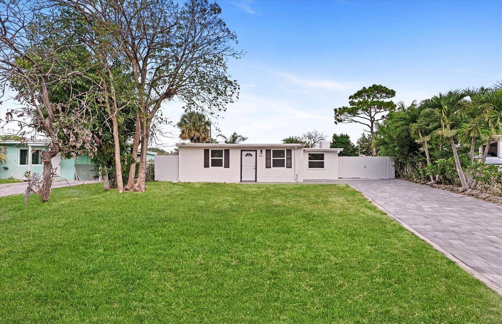 431 Ficus TreeLantana - picture