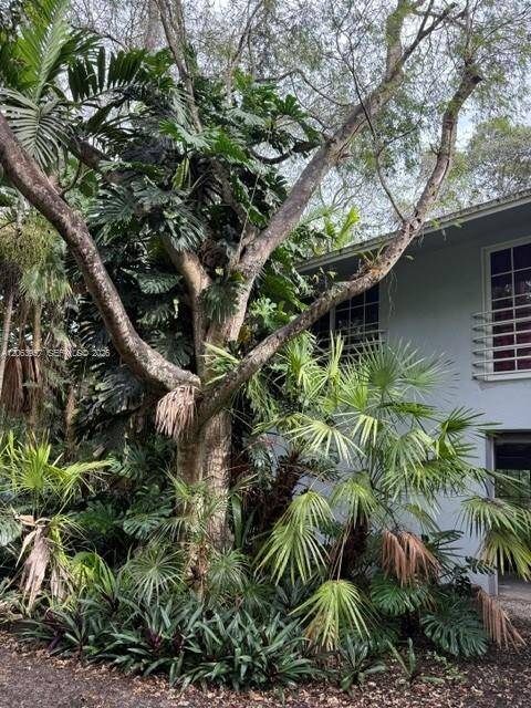 23805 SW 142nd AveMiami - picture