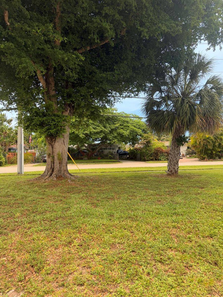 900 CitrusFort Lauderdale - picture